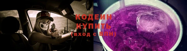метадон Богданович