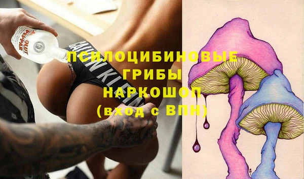 ГАЛЛЮЦИНОГЕННЫЕ ГРИБЫ Богородицк