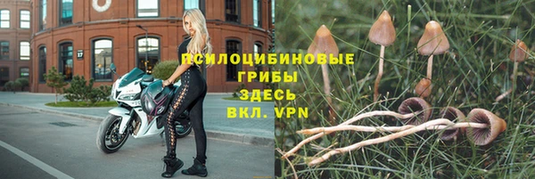 MESCALINE Белокуриха