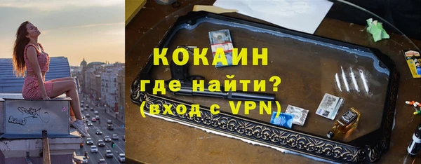 индика Гусиноозёрск